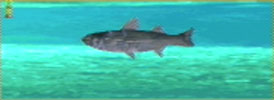 Ina