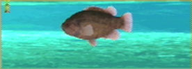 Oyanirami