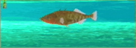Hariyo